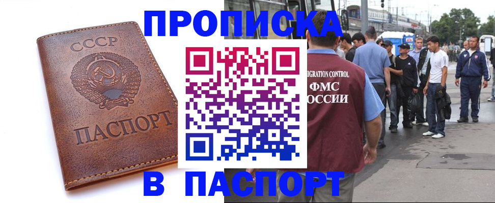 временная регистрация поиск в Волхове